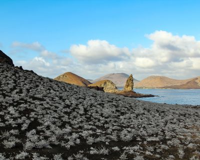 Galapagosinseln: Pinnacle Rock